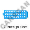 Conector de Diagn&oacute;stio Citroen 30 pines